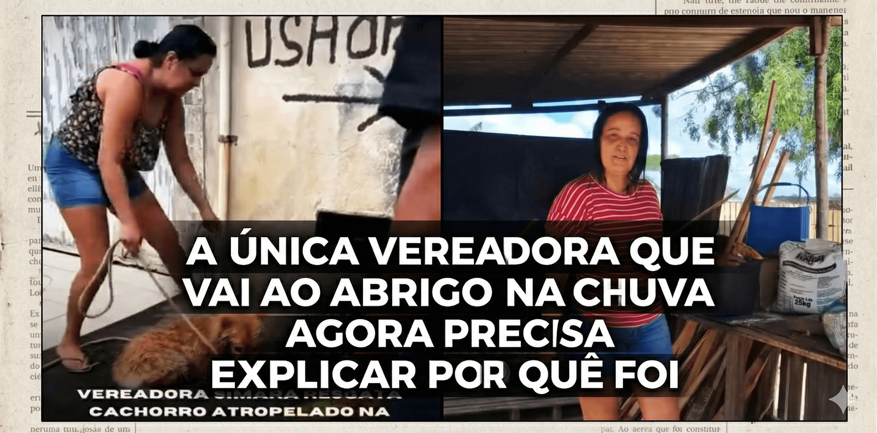  VEREADORA SIMARA RESPONDE DENÚNCIA E EXPÕE OMISSÃO DA PREFEITURA COM ANIMAIS DE RUA